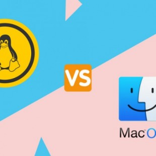 Diferencia entre los núcleos macOS y Linux  (ENG)