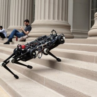 El robot "ciego" Cheetah 3 puede subir escaleras llenas de obstáculos (ING)