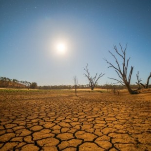 Atlas Mundial de la Desertificación: el 75% del suelo está degradado