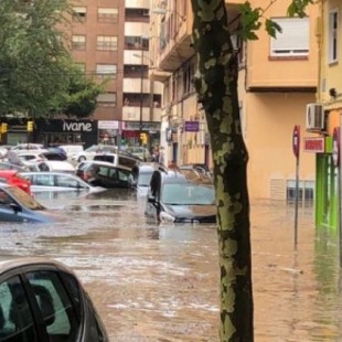 Árboles caídos, calles cortadas y el tranvía interrumpido en Zaragoza por una fuerte tromba de agua