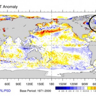 El regreso de la burbuja de aguas muy frías en el noroeste del Atlántico Norte