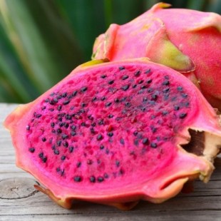 Frutas exóticas de Sudamérica: los sabores desconocidos que no cruzaron el charco