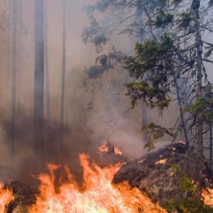 Crisis tras incendios forestales:  Suecia está luchando por apagar al menos 80 incendios forestales [NOR]