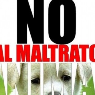 5.000 euros a quien identifique a los autores de cinco brutales casos de maltrato animal en Galicia