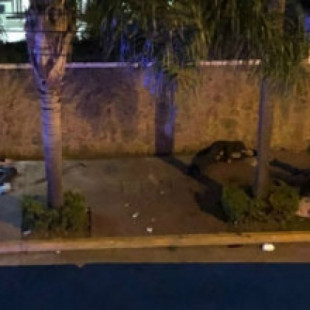 7 asesinados en Michoacán durante un velorio