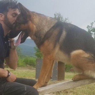 "Kaos", el perro héroe de Italia, murió envenenado: "Los responsables van a pagarla"