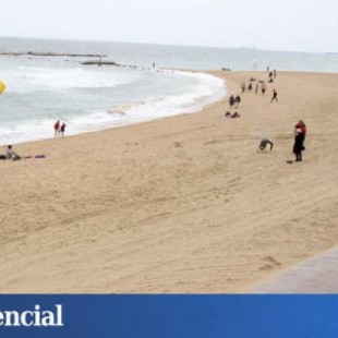 Un socorrista deberá pagar 46.258 € a los padres de un hombre ahogado en Valencia
