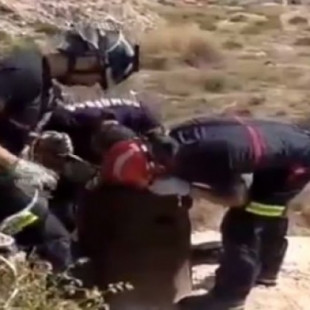 Vídeo: Rescatan a unos cachorros arrojados a un pozo en Murcia