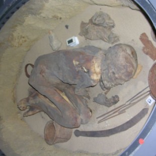 Momia prehistórica revela técnicas de embalsamamiento del antiguo Egipto (En)