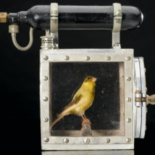 La curiosa historia de la máquina para resucitar canarios