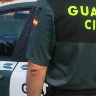 Detenida una mujer acusada de tirar tres perros por el balcón de la vivienda de Granada en la que entró a robar