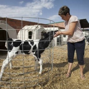 Sólo 16 beneficiarios de la PAC en Castilla y León cobran 6,4 millones frente a 15.000 agricultores que se reparten 9,7