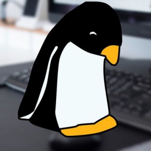 "Linux apesta. Para siempre"