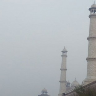 Basura, excrementos y contaminación: el Taj Mahal es una "ruina"