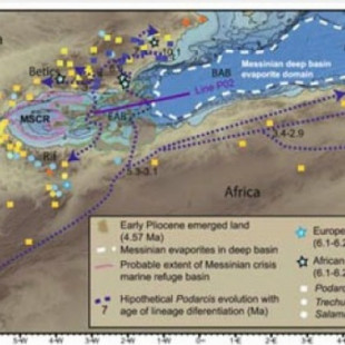 Hallado 'el puente de África': un estudio revela un archipiélago hundido en Alborán que le unía con España