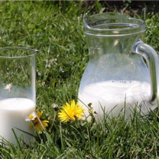 Todo lo que deberías saber sobre la leche cruda (y II)