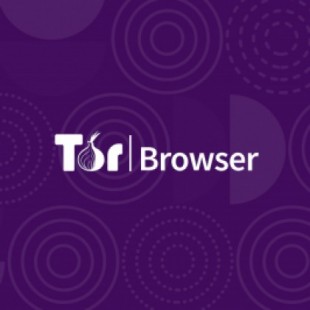 Descubren una vulnerabilidad Zero Day en el navegador Tor y la revelan porque ya no ganarán dinero con ella
