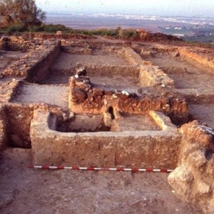 La bodega más antigua de Occidente permanece oculta y olvidada en un monte de Cádiz