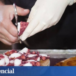 El pulpo se pone de moda en EEUU y se convierte en plato de lujo en España