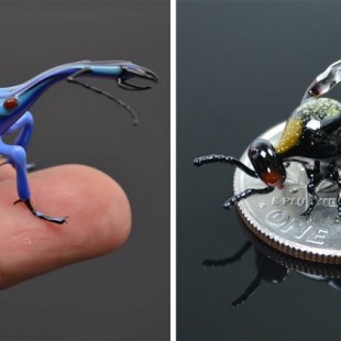 Insectos de cristal tan pequeños que caben en la yema de tu dedo (ENG)
