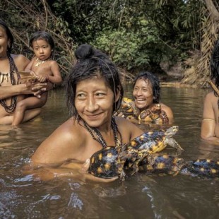 La tribu más amenazada en el mundo. Vive huyendo de leñadores ilegales que destrozan su habitat [ENG]