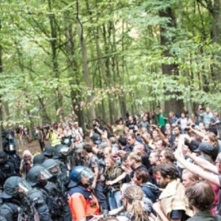 Paralizada la tala de un bosque milenario para ampliar una mina de carbón en Alemania