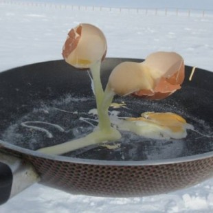 Huevos 'fritos' en la Antártida