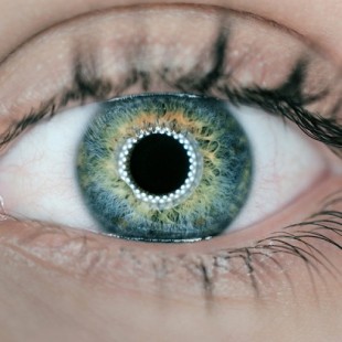 El ojo es capaz de ver imágenes fantasma de cosas que nunca ha visto