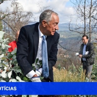 Presidente de la República Portuguesa arranca eucaliptos con sus propias manos