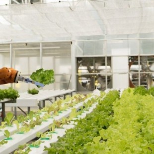 Esta granja autónoma está diseñada para producir alimentos sin trabajadores humanos