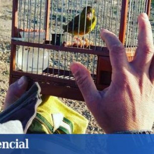 Madrid cierra las jaulas y veta los permisos para aves cantoras tras capturarse 205.000