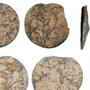 Así eran las primeras joyas del Neolítico reciente, halladas en Granada 
