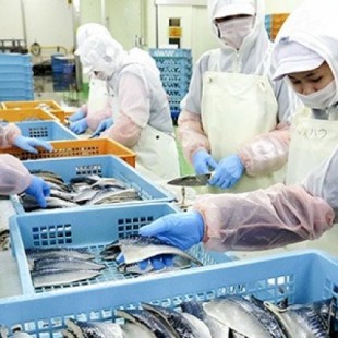 Japón se convierte en el cuarto país del mundo en recepción de trabajadores extranjeros
