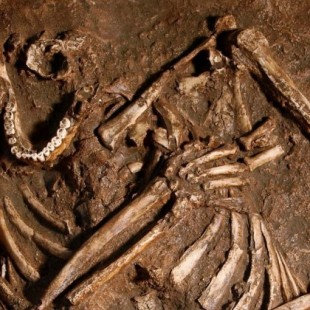 Los neandertales podrían haber sido muy distintos de lo que pensábamos