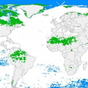 Los últimos espacios salvajes del planeta, explicados en este mapa