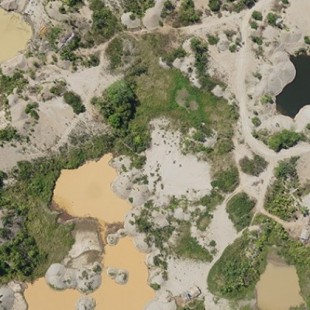 Deforestación en Perú: la búsqueda de oro devasta la selva