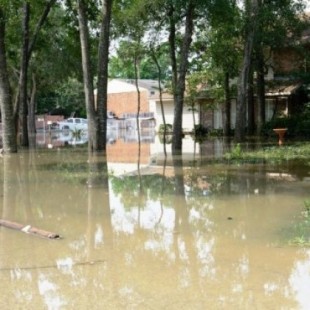 La expansión urbana de Houston aumentó las precipitaciones e inundaciones durante el huracán Harvey (ENG)