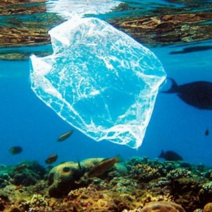 Australia reduce el consumo del 80 % de bolsas de plástico en solo tres meses