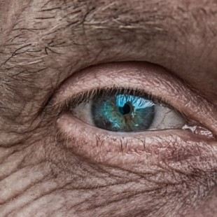 Crean un ojo biónico para devolver la vista a las personas ciegas