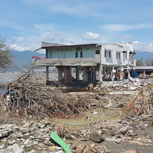 Estudio sugiere que el tsunami de Indonesia fue provocado por un deslizamiento de tierra en la bahía de Palu (ENG)