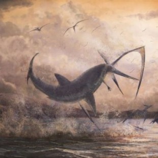 Evidencia fósil de un tiburón que atrapa a un pterosaurio en pleno vuelo (ENG)