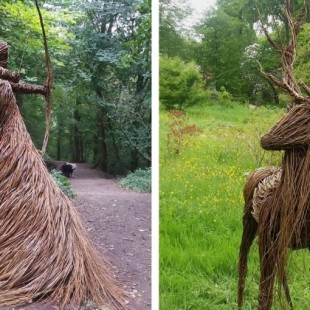 Artista crea esculturas con ramas de sauce entrelazadas sobre acero