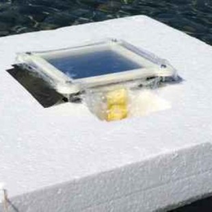 De agua de mar a agua dulce con energía solar: una nueva tecnología de bajo coste