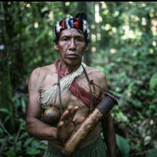10 calamidades que podrían acabar con el Amazonas