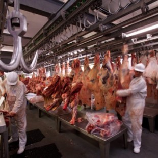 El animalismo pone coto a los rituales halal y ‘kosher’ en Europa