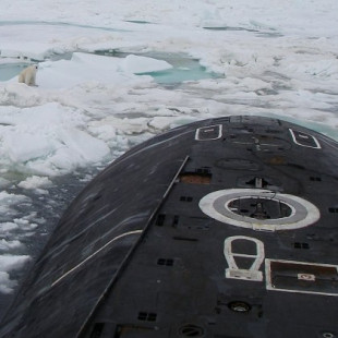 Un oso polar salta encima de un submarino ruso en busca de comida [ENG]