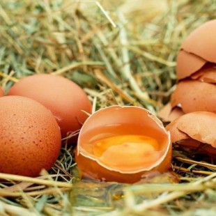 Los huevos no son perjudiciales para la salud ¡Nos engañaron!