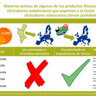 Detectan más de 50 substancias prohibidas en la UE en las importaciones de naranjas sudafricanas