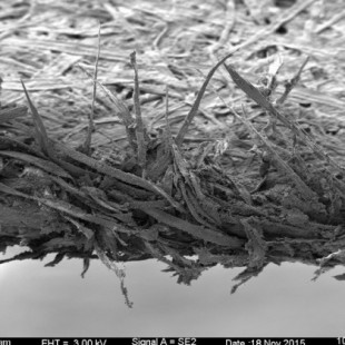 Así es el filo de un papel bajo el microscopio óptico: la razón por la que los cortes con las hojas duelen tanto