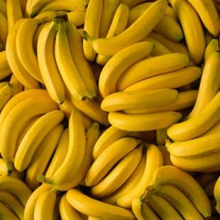 El virus que amenaza con extinguir al plátano ha sido eliminado con edición genética